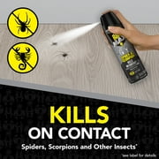 Raid MAX Indoor & Outdoor Spider & Scorpion Killer Bug Spray, 12 oz