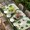 Forest Green Grey, variant on Happy St. Patrick's Table Cloths for 3 Foot Rectangle Tables, Green Shamrock Shoots Coin Vintage Country Patio Waterproof Elastic Fitted Tablecloths, Washable Rectangular Table Cover for Camping