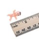 thumbnail image 3 of 60 Pcs Mini Plastic Babies Kids Bath Toy Tiny Figurine Baby Shower Bathing Doll Bulk For Party Favor, 3 of 4