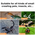 thumbnail image 4 of CBFFDC Semi-hidden Space Pet Enclosure Reptile Feeding Box Clear Viewing Semi hidden Space Spider Enclosure Convenient Feeding Hole, 4 of 7