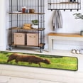 thumbnail image 4 of Dreamtimes Highland Cow Runner Rug 2'x6' Kitchen Rug Non Slip with Rubber Backing Cool Day Washable Soft Area Rug Carpet Entryway Rug Runner for Hallway Bedroom Kitchen Decor, 4 of 6