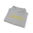thumbnail image 4 of Audiologist Audiology Hoodie Gifts Hooded Sweatshirt Pullover Shirt, 4 of 4