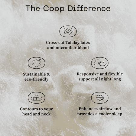 Coop Home Goods Adjustable Latex Pillow King, with Talalay Latex & Microfiber Fill, Naturally Cooling, Eco-Friendly, Medium Firm Pillow for Back, Stomach or Side Sleepers