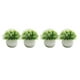 thumbnail image 2 of Adorno de plantas falsas Monstrate 2 piezas decoración de alto impacto hierbas falsas Blanco claro, 2 of 6