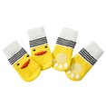 thumbnail image 4 of Ropa para mascotas Teddy Golden Retriever ropa para perros Teddy Chihuahua polo (4PCS) 2580, 4 of 7