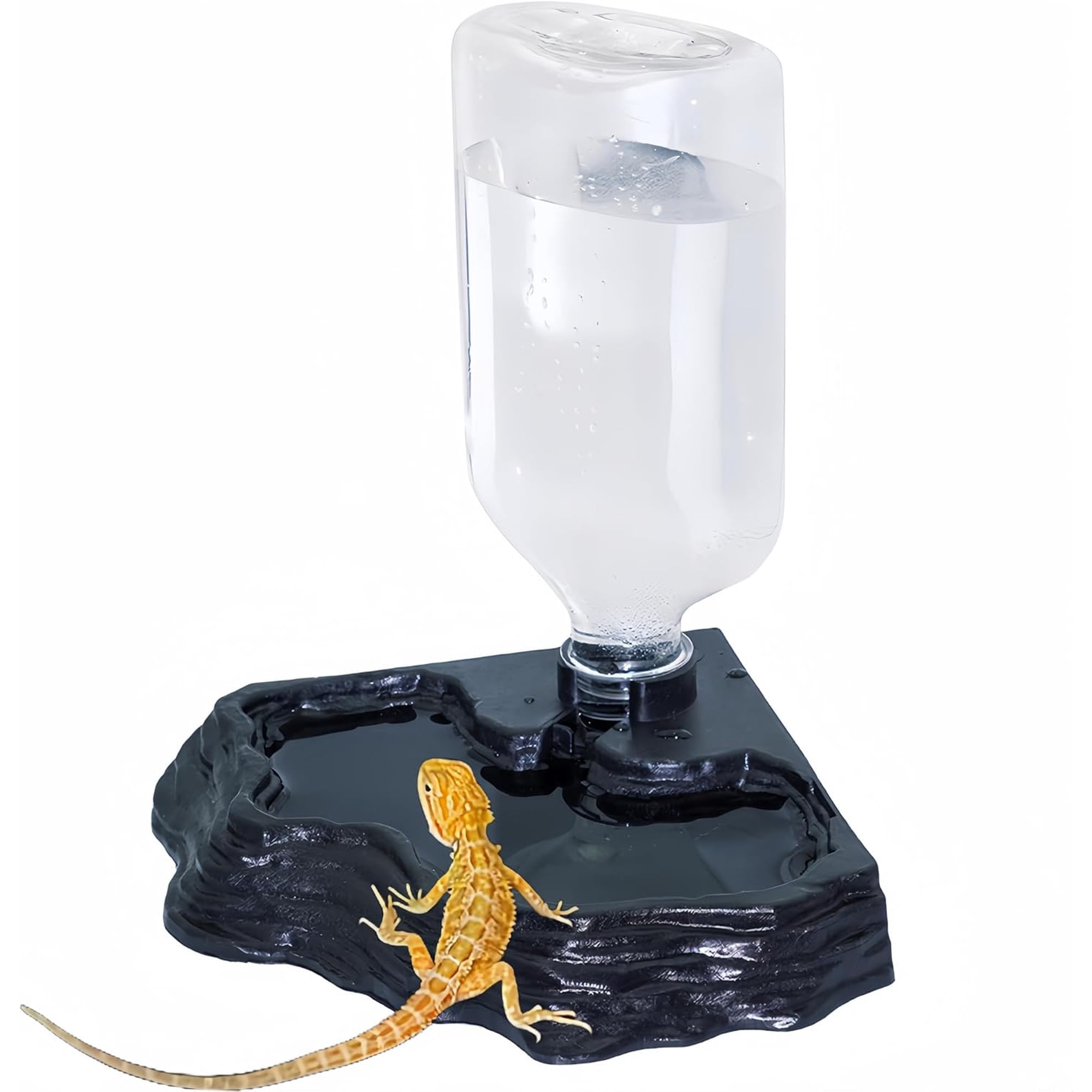 Lizard Bearded Dragon Water Bowl Dish Automatic Dispenser,17oz,Black