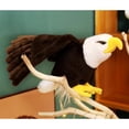 thumbnail image 3 of Peluche ZWLCWYBDBD Águila calva de 24 cm con alas flexibles, 3 of 7