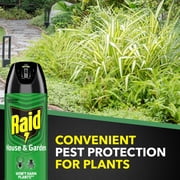 Raid House & Garden Insect Killer, Indoor & Outdoor Bug Spray Won't Harm Plants, 11 oz