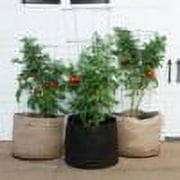 SMART POT 45 Gallon Fabric Grow Bag - Black