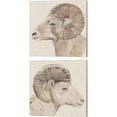 thumbnail image 1 of Great Art Now Bighorn Profile by Annie Warren 2 Piece Canvas Art Set Each 14W x 14H, 1 of 3