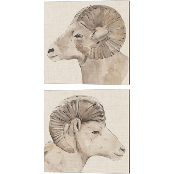 Great Art Now Bighorn Profile by Annie Warren 2 Piece Canvas Art Set Each 14W x 14H