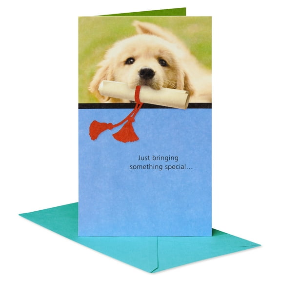 American Greetings Graduation Money/Gift Card Holder for Graduate (Special Surprise)