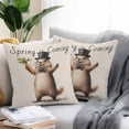 thumbnail image 3 of Outdoor Pillow Cover Groundhog Carrot Set of 2 Waterproof Throw Pillowcases Spring Is Coming Decorative Patio Furniture Pillows for Couch Garden Indoor & Outdoor Use, 3 of 9
