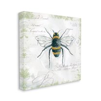 Stupell Industries Quaint Honey Bee Insect over Vintage Postal Card, 30 x 30, Design by Carol Robinson