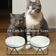 thumbnail image 2 of Cuencos para gatos MCSAPIL con inclinación elevada, cerámica elevada, ángulo de 15°, 2 of 7