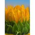 thumbnail image 2 of Fitzharris, Tim 11x14 Black Ornate Wood Framed with Double Matting Museum Art Print Titled - Sunflowers V, 2 of 4