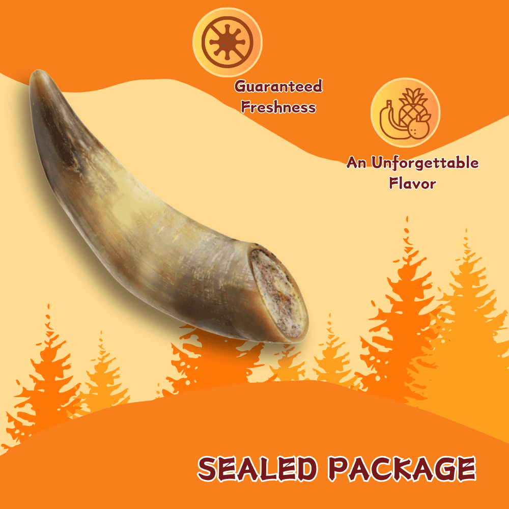 Tender Touch All-Natural Ox Horn for Dogs, A Whole and Hearty Single Ingredient Chew for Dental Care and Hours of Entertainment, 3-Count