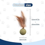 Feathered Catnip Mint Toys (3pc)
