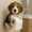 H, variant on Dog Toilet Paper Holder with Realistic Dog Sculpture for Wall Mount, Cute and Functional Design for Bathroom and Small Spaces