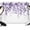 Purple, variant on 7x5ft Photo Backdrop, Purple Soft Polyester Backdrop Curtains Photography Backdrops, Eucalyptus Leaves Brushed Background for Photoshoots Studio Video Portrait Parties