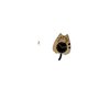 thumbnail image 4 of Gancho de pared plegable,Percheros plegables de pared,Reloj de pared,Reloj de pared decorativo con forma de gato para sala de estar silenciosa,Reloj de pared de madera,decoración moderna, 4 of 7