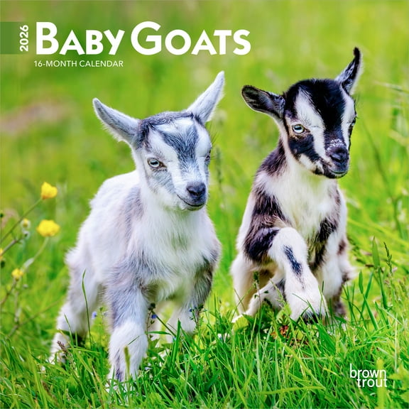 Baby Goats | 2026 7x14" (Hanging) Monthly Mini Wall Calendar | BrownTrout