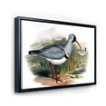 thumbnail image 3 of Vintage Countryside Birds In Wild 20 in x 12 in Framed Painting Canvas Art Print, by Designart, 3 of 5