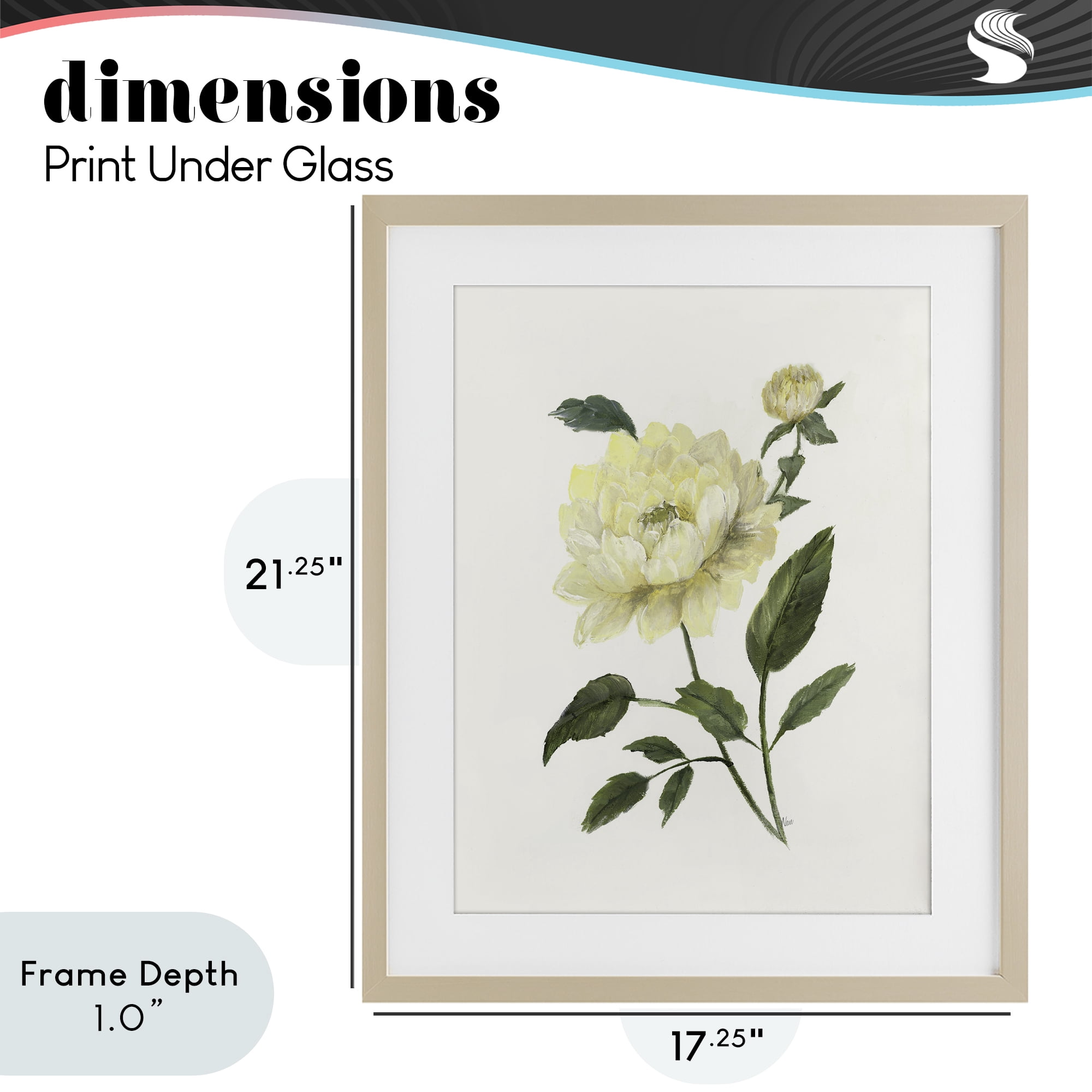 Stupell Industries Cream Garden Peony with Buds Birch Framed Print Under Glass, design by Nan
