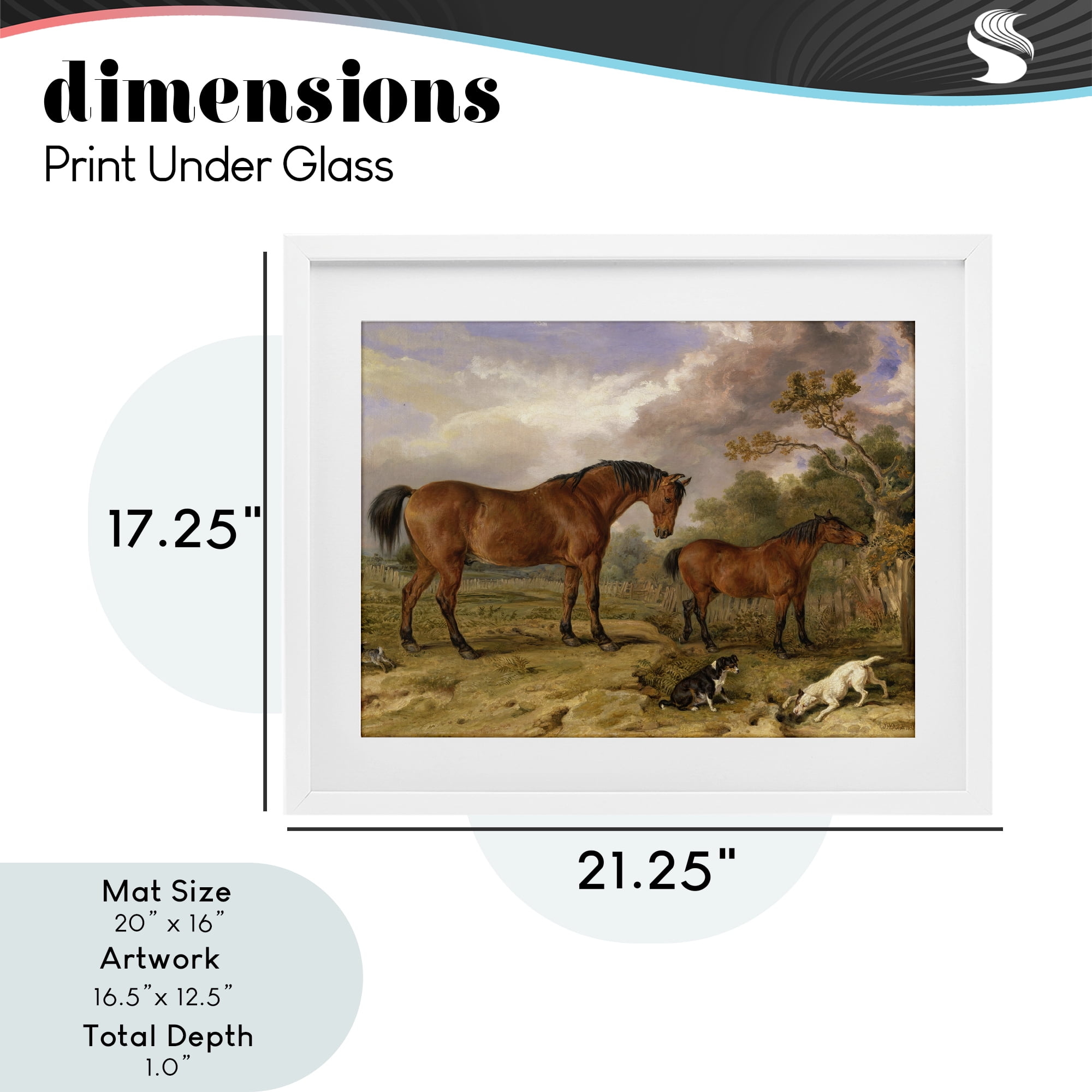 Stupell Industries Classic Portrait of Horses White Framed Print Under Glass, design by Tina LeCour