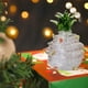 thumbnail image 4 of Mini adornos de cristal para árbol de Navidad, pequeño árbol de Navidad de cristal, casa de muñecas de Navidad, figuras de invierno en miniatura para manualidades, decoración de fiestas navideñas, 4 of 6