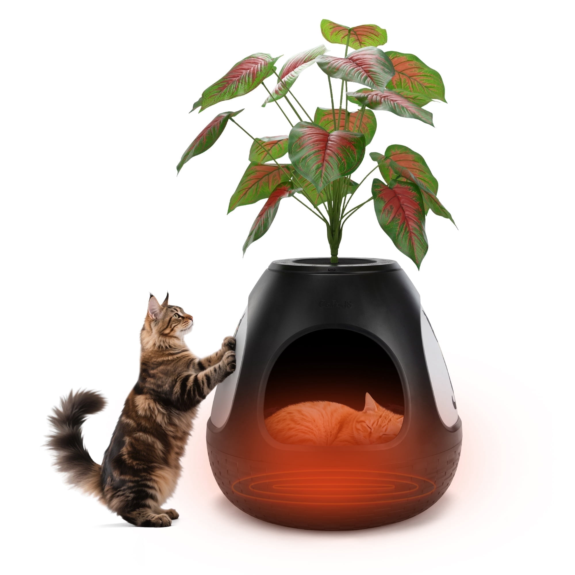 Jaxpety 4-in-1 Cat Bed for Indoor Cats, Large Cat House with Cat Scratcher, Odor Control & Plant Pot Design, Enclosed Cat Cave for Kitten & Adult Cats,Black