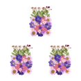 thumbnail image 4 of Destyer Set Scrapbooking Decorating Real Flower Decal Handicraft Filling Pressed Specimen Label for Makeup Phone Use Type 1 Type40 NO40, 4 of 6
