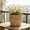 L, variant on S Woven Style Plastic Flower Pot Storage Basket Small Simulated Rattan Look Planter For Artificial Plants Home Office Decoration 5 Inch
