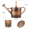 thumbnail image 3 of 1 Gallon Metal Watering Can with Removable Spout, Nice Galvanized Steel Water Can with Embossed Design for Indoor and Outdoor Plants, 3 of 3