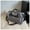 GY, variant on TopLLC Storage Bins Womens Men Travel Bags, Travel Large Capacity, Sports Gym Bag, Carry On For Women/Men, Travel Duffel Bag With Shoes Compartment, Gym Tote Bag For Travel Storage Bags