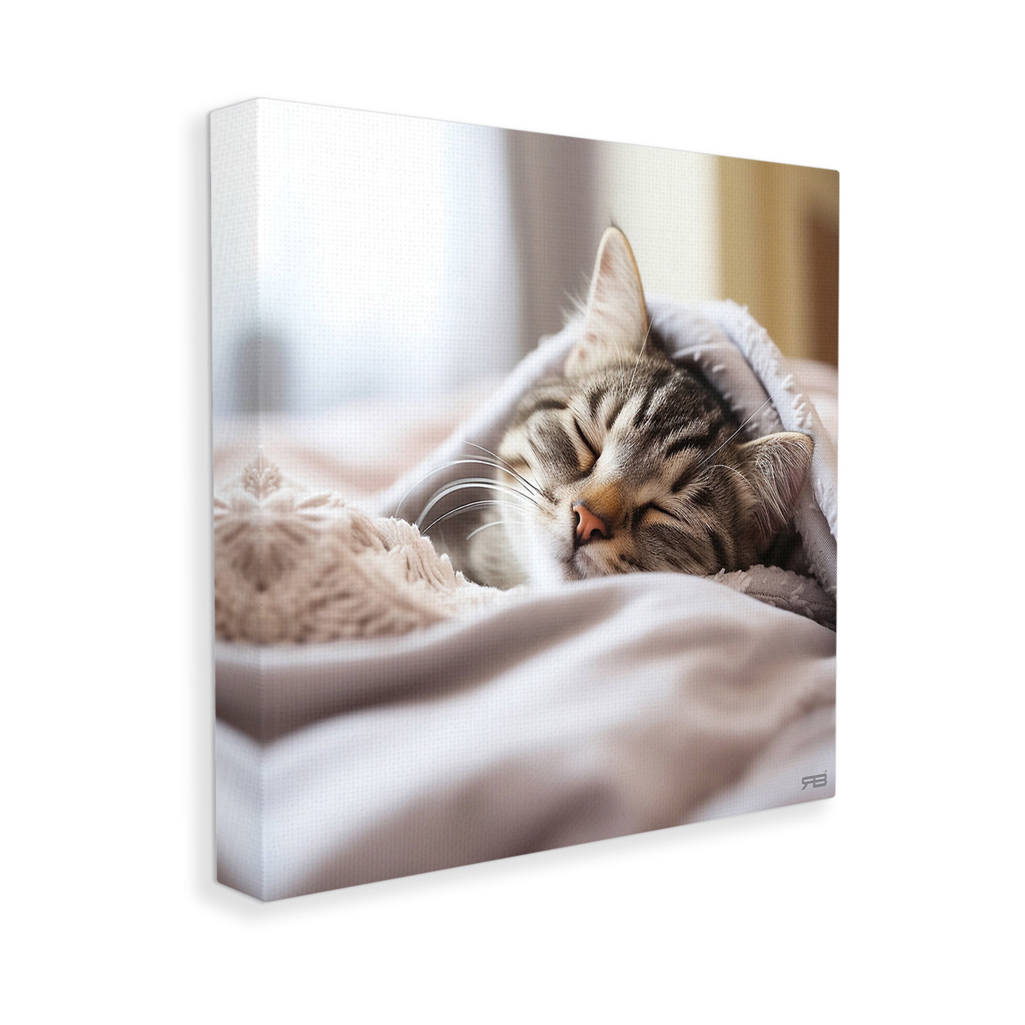 Stupell Industries Cozy Sleeping Kitten Animals & Insects Painting Gallery Wrapped Canvas Art Print Wall Art, 36 x 36