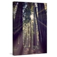 thumbnail image 3 of Marmont Hill "Redwoods Hike" by Robert Dickinson Painting Print on Canvas, 3 of 7