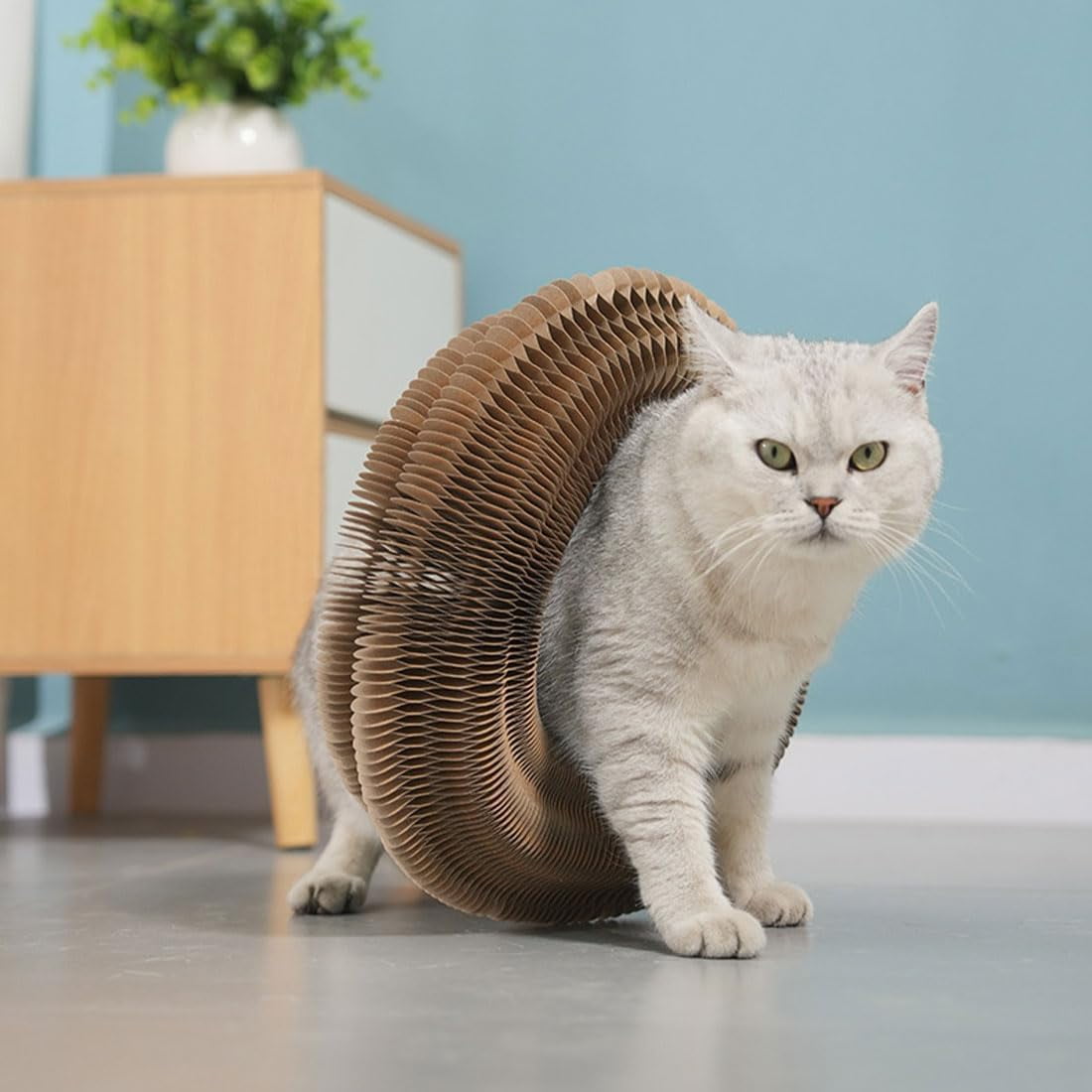 THBN Kitty Curlz, Kitty Curlz Cat Toy, Magic Organ Cat Scratching Board, Snufflepaw Accordion for Cats, Interactive Scratch Pad, Recyclable Cat Scratcher.