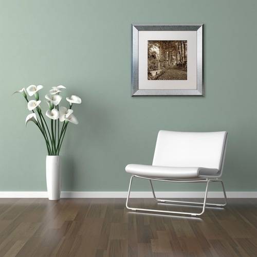 Trademark Fine Art "Fiesole Giardini II" Canvas Art by Alan Blaustein, White Matte, Silver Frame