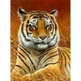 thumbnail image 1 of 5D Animal Diamond Painting Embroidery Cross Crafts Stitch Home Art Decor DIY Kit Christams Gift, 1 of 4