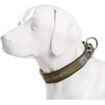 thumbnail image 3 of HAHDAXIA - Premium Dog Collar - Neoprene Padded, Reflective Dog Collar for Large, Medium, and Small Size Dogs, XS Army Green, 3 of 4