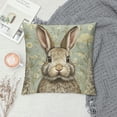 thumbnail image 2 of BCIIG Rabbit Daisies Beatrix Potter Graphic Decorative Cushion Throw Pillow Cover for Home Decor - Spring Pillow Case 1PC 20x20in, 2 of 5