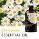 thumbnail image 2 of Aceite esencial FRAOIL de manzanilla, 120 ml, para humidificador difusor, 2 of 7