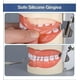thumbnail image 5 of Dentadura Médica Con 32 Dientes, Modelo Dental Extraíble, 5 of 6