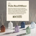 thumbnail image 4 of Paddywax Petite Collection Scented Oil Reed Diffuser, 1.5-Ounce, Navy-Fresh Air, 4 of 6