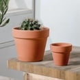 thumbnail image 4 of 20pcs Mini Terracotta Pots with Drainage Holes Succulent Cactus Nursery Planter, 4 of 9
