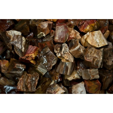 Wood Chips Landscaping Fantasia Crystal Vault: 1/2 lb Petrified Wood Rough Stones from Madagascar - Large 1