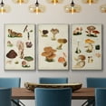 thumbnail image 2 of Mushroom Species IV - Framed Premium Gallery Wrapped Canvas L Frame 3 Piece Set - Ready to Hang, 2 of 9