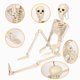 thumbnail image 1 of Decoraciones de Halloween, adornos de Halloween, regalos de Halloween, simulación de esqueleto de Halloween, decoración de esqueleto, accesorios de decoración de escena navideña para casa, esqueleto e, 1 of 8
