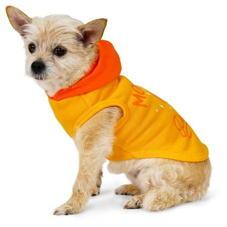Vibrant Life Halloween Hoodie for Dogs & Cats Mommy s Lil Pumpkin Orange Extra Small